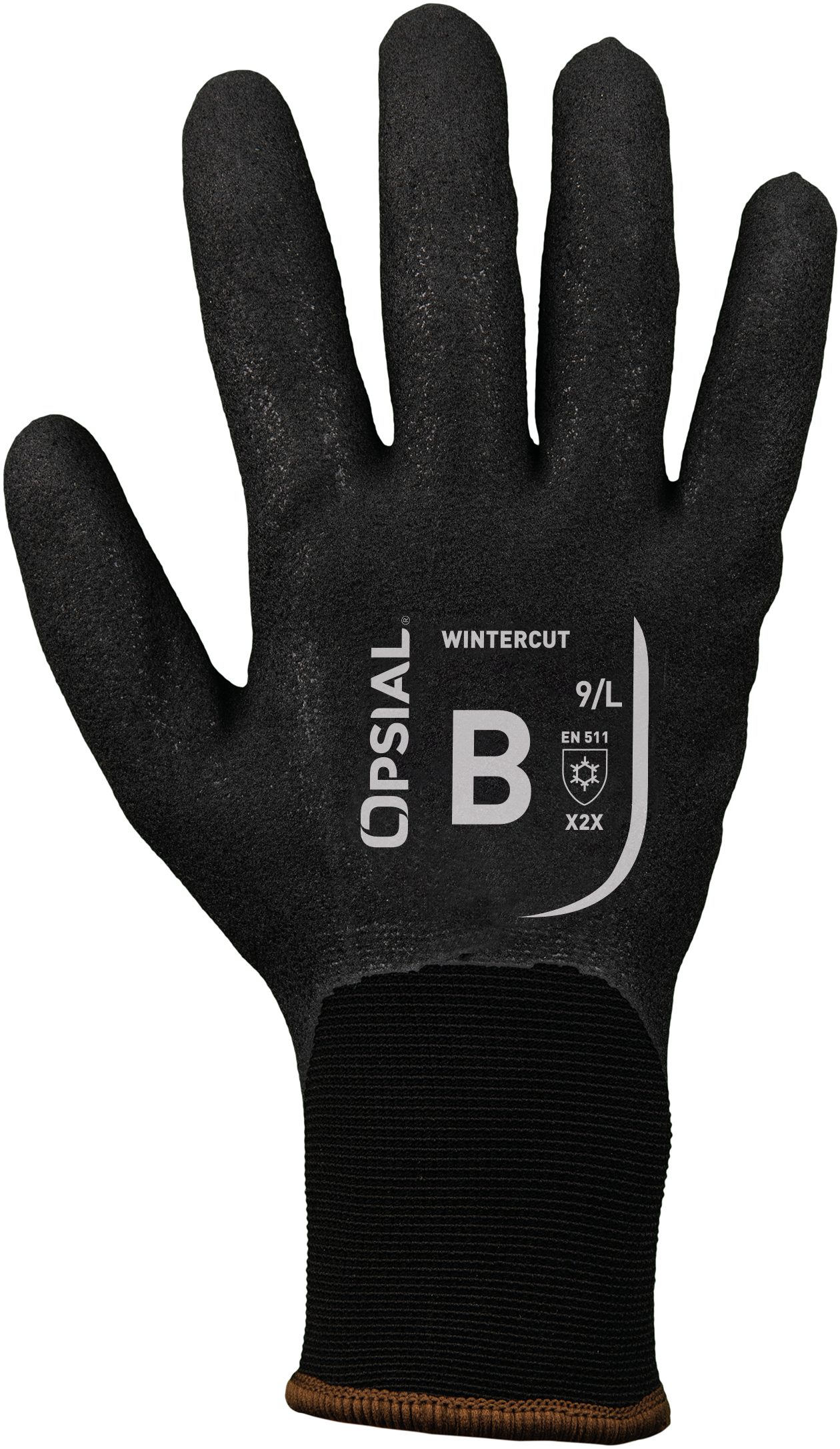 P702940_WINTERCUT_PPRI_BD